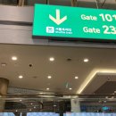 [2023 일본 도쿄여행] 인천공항 심야 리무진 버스 시간표ㅣ도쿄 나리타 공항 PCR 검사ㅣ스카이라이너 왕복