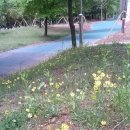 일민유치원 이미지