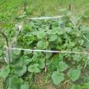 무성농장 이미지