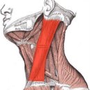 미래통증의원 이미지