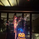 참조은전기조명 | 경주캠핑 조은캠핑장에서 가족들이랑 힐링하고 왔던 후기