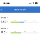 빅토리야 | 와(리)가리 다이어터