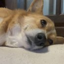 뚜벅이 하우스 이미지