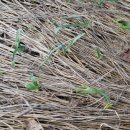 내기농장 이미지