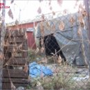 01-22 동구 이미지