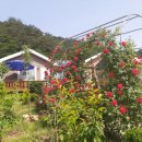 내린천아름펜션 이미지