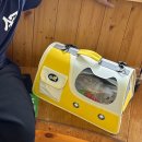 김포24시 힐 동물의료센터 이미지