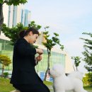 에스티 비숑프리제 이미지