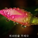 휘파람을 부세요 . 이미지