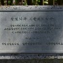 오등동 왕벚나무 이미지