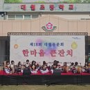 대월초교 Daum카페