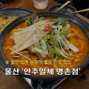 안주일체울산명촌점 | 울산 명촌 술집 안주일체 명촌점 대창전골 및 부추전