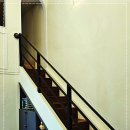 퍼피로그 강아지분양 창원점 이미지