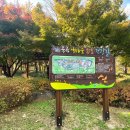 하나어린이공원 인라인스케이트장 이미지