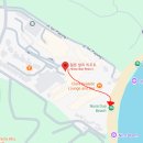 낙타 | 발리 여행:: 누사두아 해변 낙타 사파리 후기