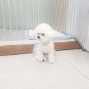 어서왈왈 이미지