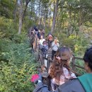 대한적십자사 전북협의회, 국립진안고원산림치유원에서 1박 2일 힐링 워크숍 개최 이미지