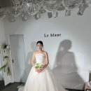 [W.25] 본식 드레스 || 르블랑 본식 드레스, 2부 드레스 가봉 & 대여 대대만족 후기(with 아이웨딩)