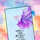라움캘리