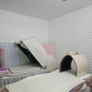 고흥만힐링체험센터 | 행당동 피부관리 :: 주영뷰티바이오포톤힐링센터 게리종 테라피 체험 후기