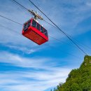 독도회식당 이미지