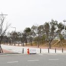 천년숲서로(동) 이미지