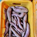 예심농장 이미지