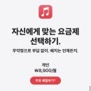 스포티파이에서 애플뮤직으로 넘어간 후기