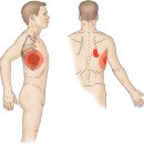 코뿔소 마취통증의학과 의원 이미지