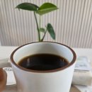 커피그레비티 | 산미가 살아있는 디카페인 드립커피, 커피그래비티 콜롬비아 원두 디카페인 드립백 후기