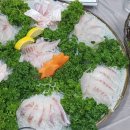 일억조횟집 이미지