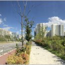 나루메디칼 이미지