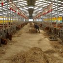 우리소 한우농장 이미지