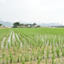 석진농장 이미지