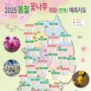 2025년 봄철 꽃나무 예측지도(산림청제공) 이미지