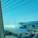 중동097 | 두바이~로마 에미레이트항공 EK097 이코노미 탑승 후기(22.3.11)