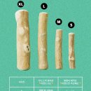 지구별댕댕이 이미지