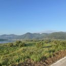 이마트24 합천청덕점 이미지