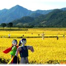 들녘 옷 이미지