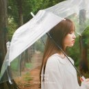 보라미유 카카오 검색결과