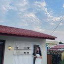 도록도록 민박 | [여행/제주도] 제주 종달리 감성숙소, 도록도록(dorokdorok)