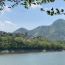 단양농협 단성지점 이미지