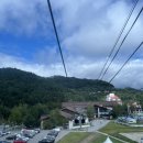 대신카프라자 이미지