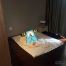 [200614-16] 사회초년생들의 여름휴가 2(노라바, 협재/금능해수욕장, 파라토도스, 수월봉전기자전거...