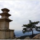 천년의향기 티스토리