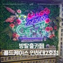 인하후문약국 | 방탈출] 콜드케이스 인천2호점 | 피라미드의 비밀 테마 방탈출 | 당일 예약 방법부터 탈출 성공(?) 후기