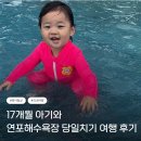 바다야영장 | [충남 태안] 17개월 아기와 연포해수욕장 당일치기 | 바다 앞 물놀이장, 제1야영장 후기