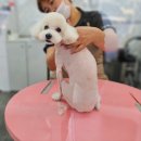 개린이 하우스 이미지