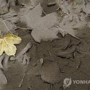 화산주유소