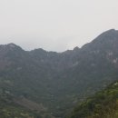 비슬산휴양림주차장매점 이미지